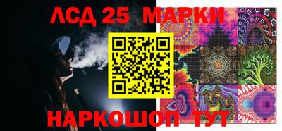 гашик Моздок