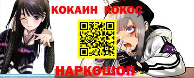 гашик Моздок