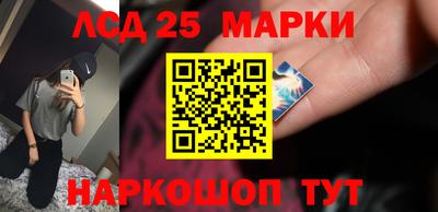 гашик Моздок