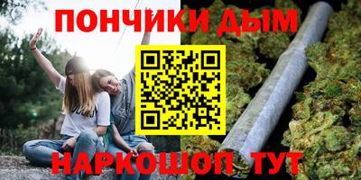 спиды Можга