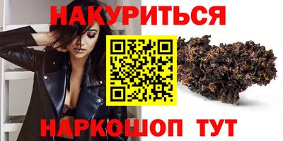 гашик Моздок