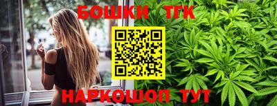 гашик Моздок