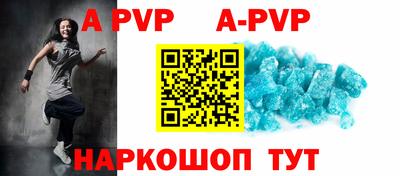 гашик Моздок